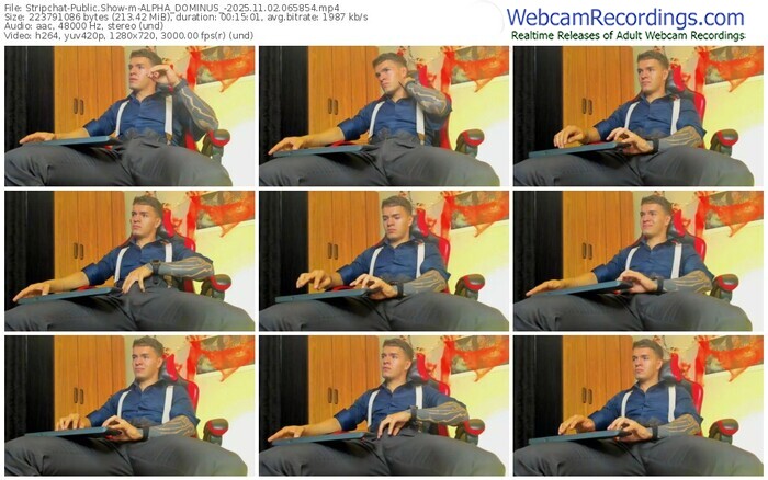 stripchat-alpha_dominus_-11-02-2025-06-58-54
