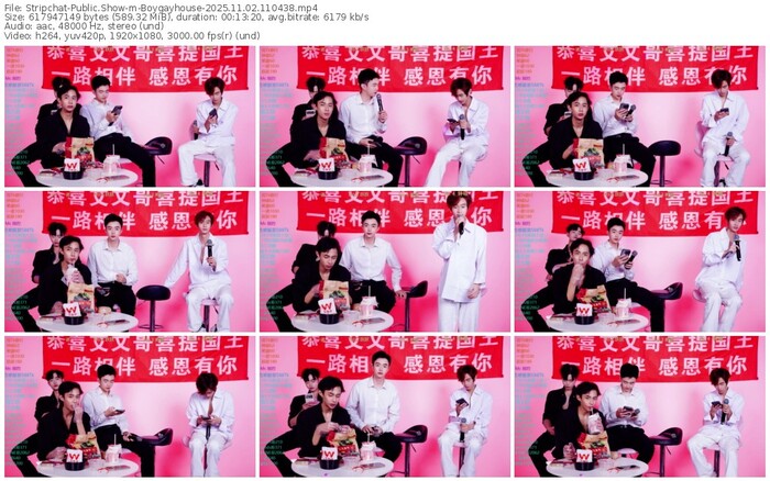 stripchat-boygayhouse-11-02-2025-11-04-38