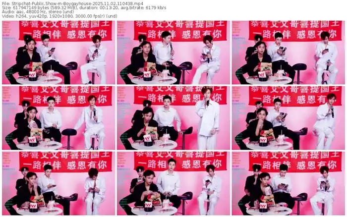 stripchat-boygayhouse-11-02-2025-11-04-38