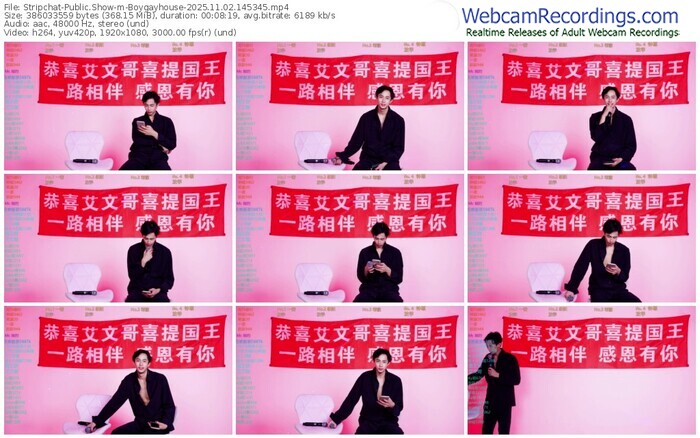 stripchat-boygayhouse-11-02-2025-14-53-45