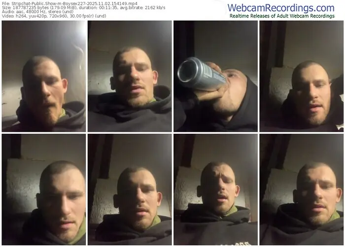 stripchat-boysex227-11-02-2025-15-41-49