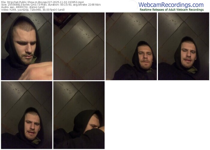 stripchat-boysex227-11-02-2025-19-39-53