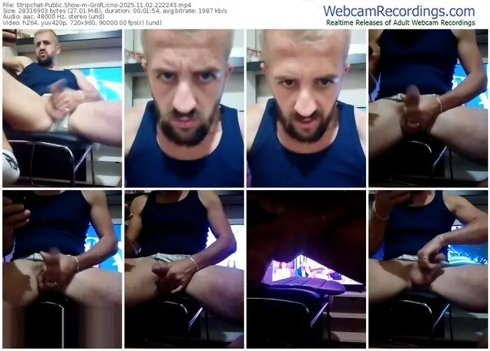 stripchat-groflicno-11-02-2025-22-22-43