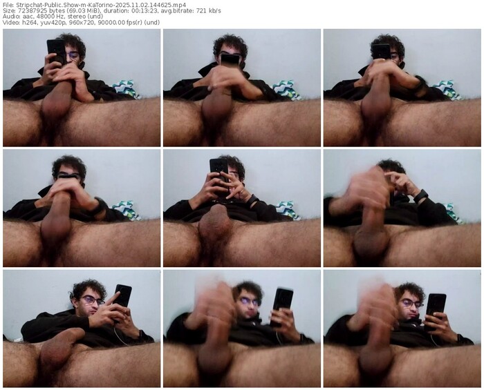 stripchat-katorino-11-02-2025-14-46-25