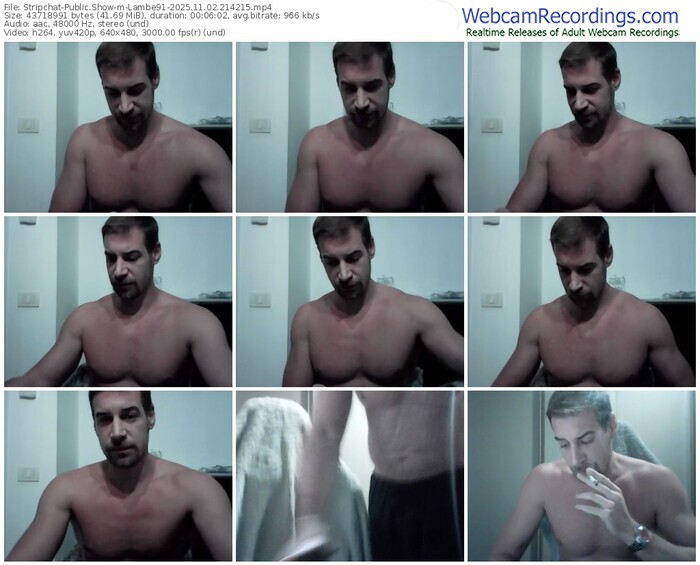 stripchat-lambe91-11-02-2025-21-42-15