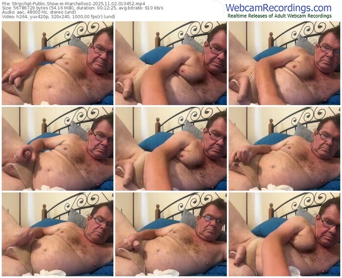 stripchat-marchelloo1-11-02-2025-01-04-52