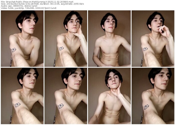 stripchat-marksynergyx-11-02-2025-20-38-00