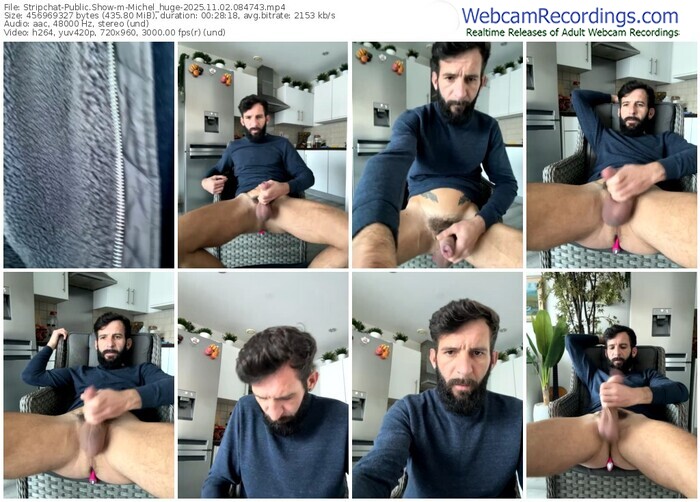 stripchat-michel_huge-11-02-2025-08-47-43