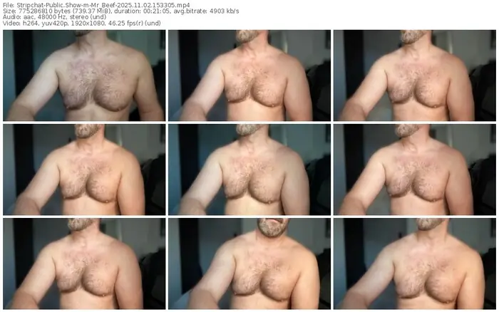 stripchat-mr_beef-11-02-2025-15-33-05