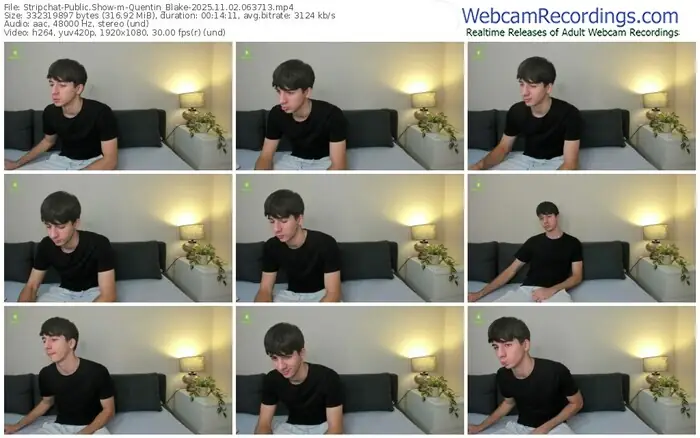 stripchat-quentin_blake-11-02-2025-06-37-13