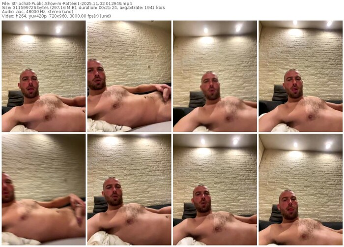 stripchat-rotteei1-11-02-2025-01-29-49