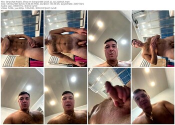 stripchat-sergii1686-11-02-2025-22-08-15