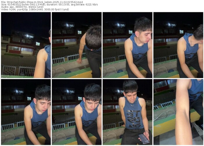 stripchat-stick_ledom-11-02-2025-01-55-42