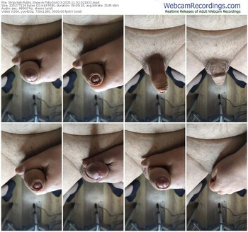 stripchat-tobydick13-11-02-2025-02-19-21