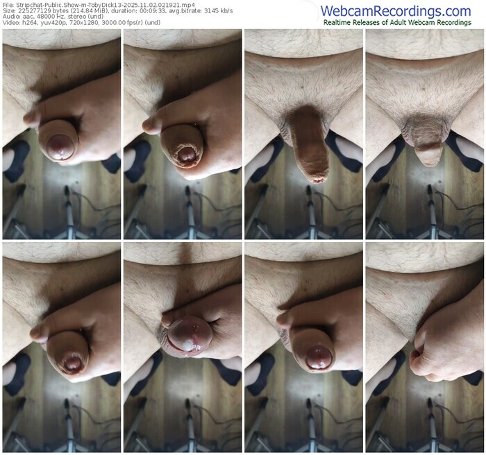 stripchat-tobydick13-11-02-2025-02-19-21