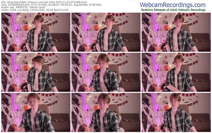 stripchat-vincent_pots-11-02-2025-07-23-48