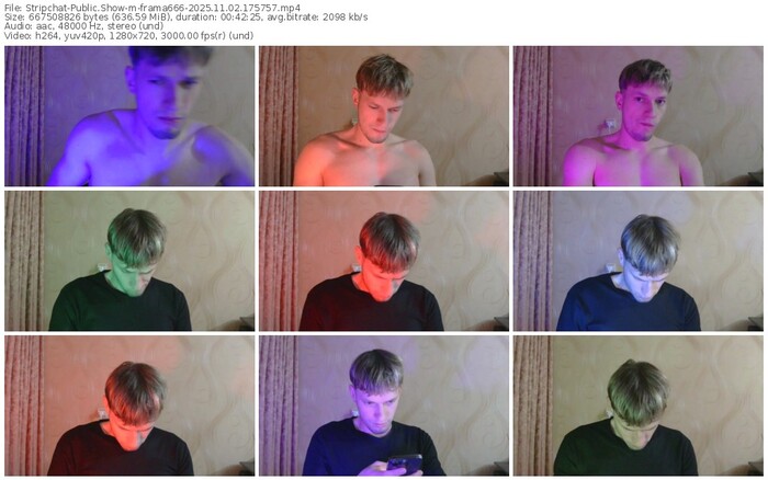 stripchat-frama666-11-02-2025-17-57-57