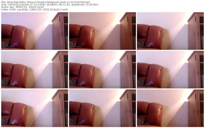 stripchat-freemindedguyuk-11-02-2025-02-37-08