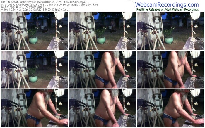 stripchat-herbie010666-11-02-2025-08-54-29