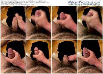 stripchat-hugehairycock_98-11-02-2025-05-24-01