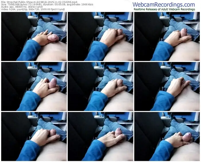 stripchat-jk1981jk-11-02-2025-15-42-06