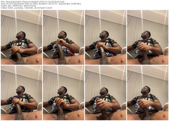 stripchat-laladick-11-02-2025-02-31-46