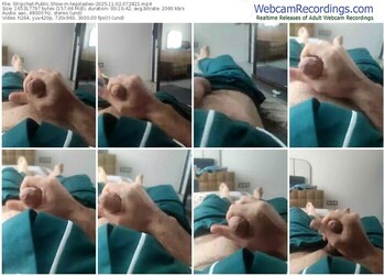 stripchat-legolasleo-11-02-2025-07-28-21