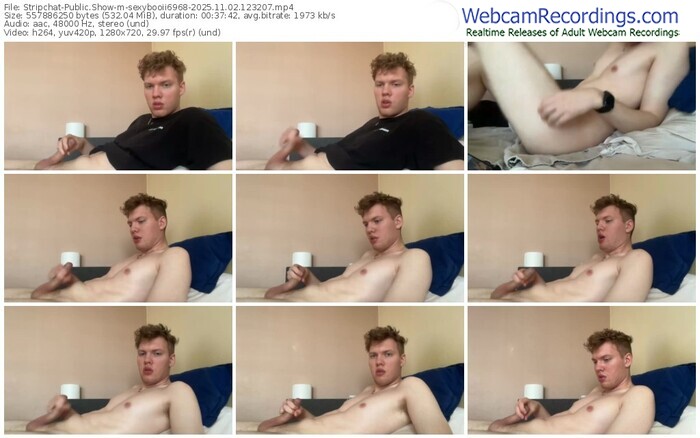 stripchat-sexybooii6968-11-02-2025-12-32-07