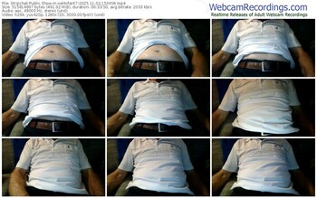 stripchat-velikifant7-11-02-2025-15-34-58