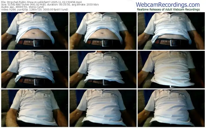 stripchat-velikifant7-11-02-2025-15-34-58