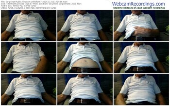 stripchat-velikifant7-11-02-2025-17-25-34