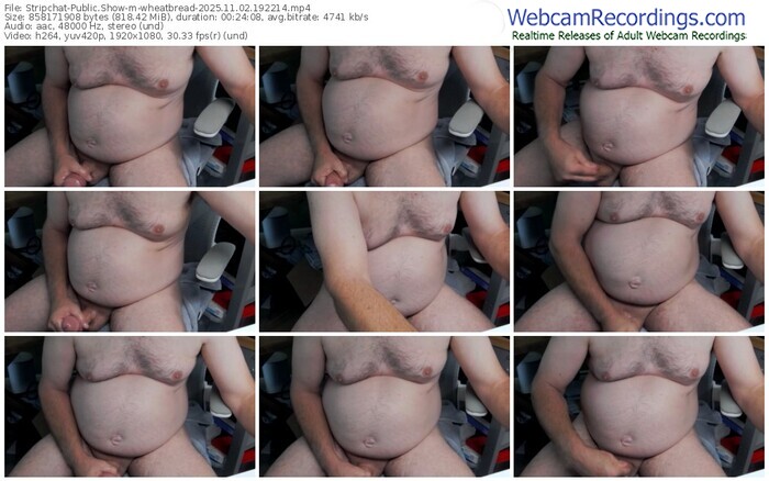 stripchat-wheatbread-11-02-2025-19-22-14