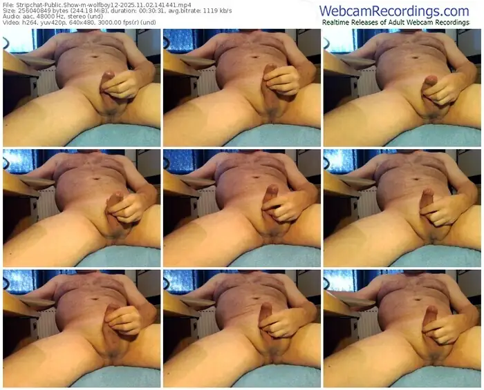 stripchat-wolfboy12-11-02-2025-14-14-41