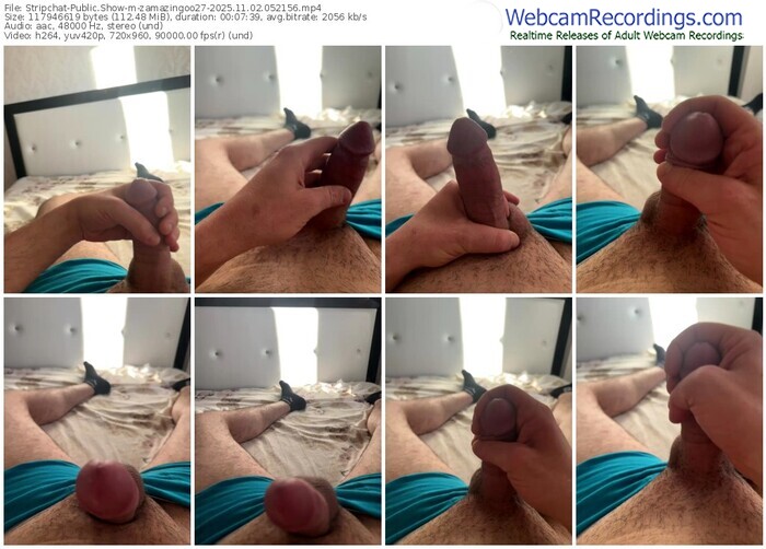 stripchat-zamazingoo27-11-02-2025-05-21-56