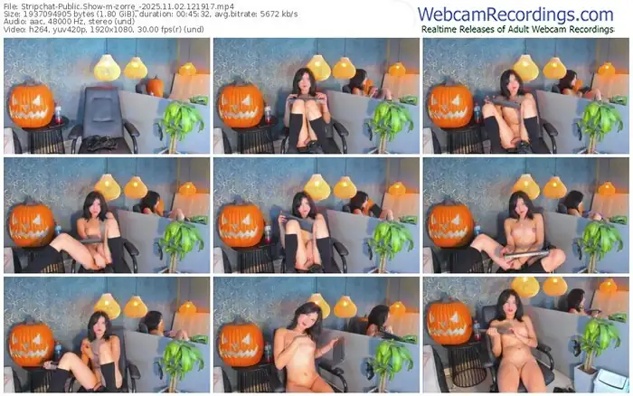 stripchat-zorre_-11-02-2025-12-19-17