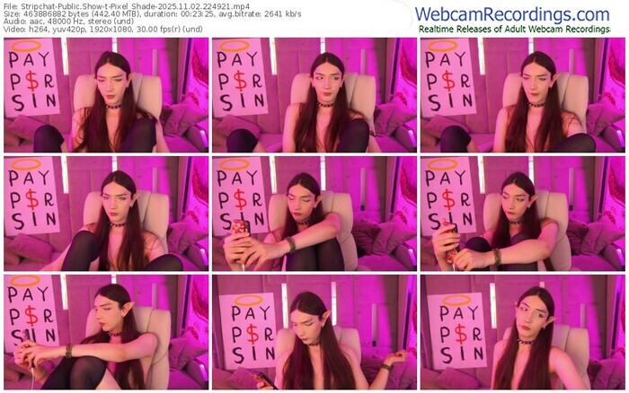 stripchat-pixel_shade-11-02-2025-22-49-21