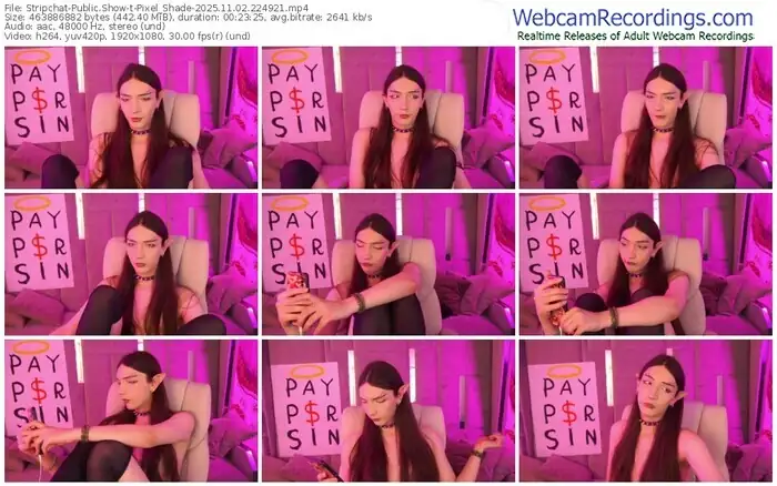 stripchat-pixel_shade-11-02-2025-22-49-21