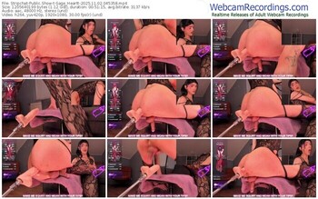 stripchat-sage_heartt-11-02-2025-04-53-58