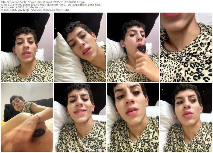 stripchat-siararealist-11-02-2025-00-49-28