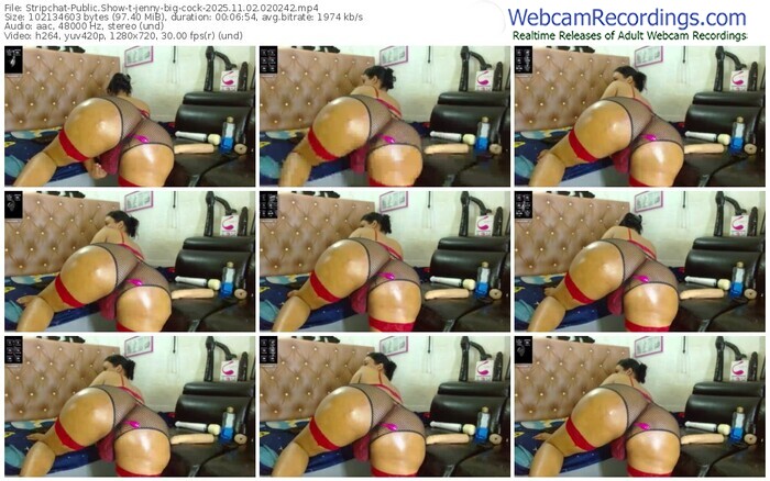 stripchat-jenny-big-cock-11-02-2025-02-02-42