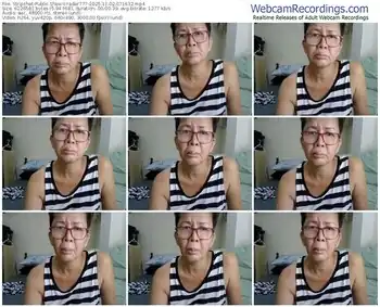 stripchat-radar777-11-02-2025-07-16-32