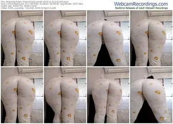 stripchat-dalou3a-69-11-03-2025-14-12-04