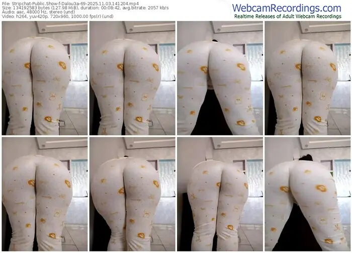 stripchat-dalou3a-69-11-03-2025-14-12-04