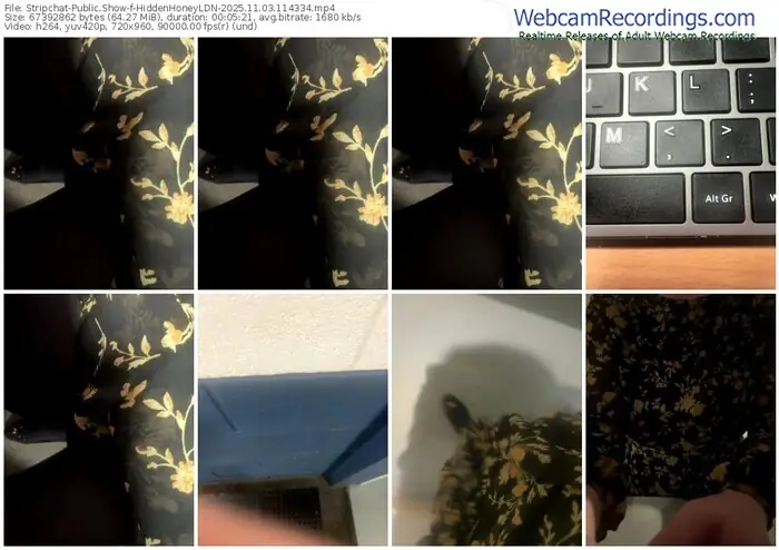 stripchat-hiddenhoneyldn-11-03-2025-11-43-34