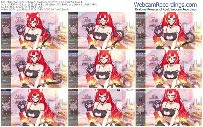 stripchat-lewdfoxy_vt-11-03-2025-16-55-29