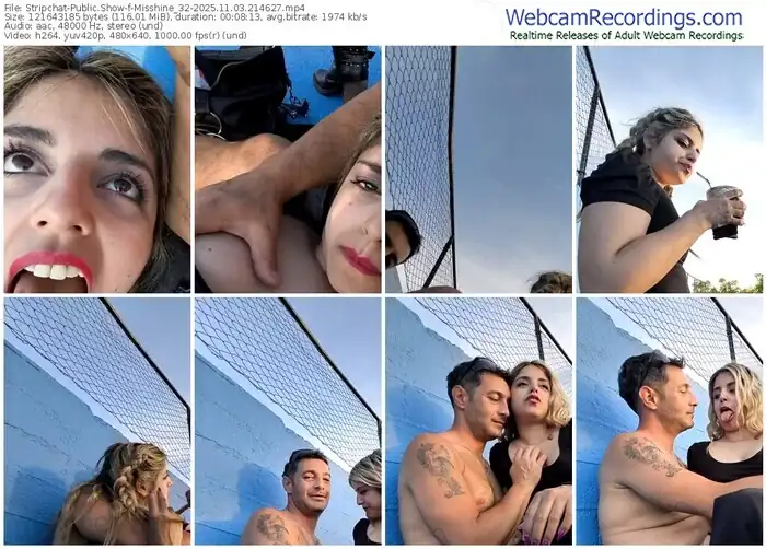 stripchat-misshine_32-11-03-2025-21-46-27