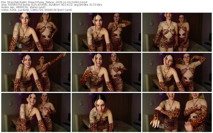 stripchat-pussy_palace_-11-03-2025-22-09-12