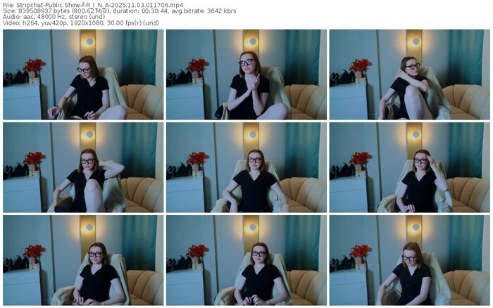 stripchat-r_i_n_a-11-03-2025-01-17-06