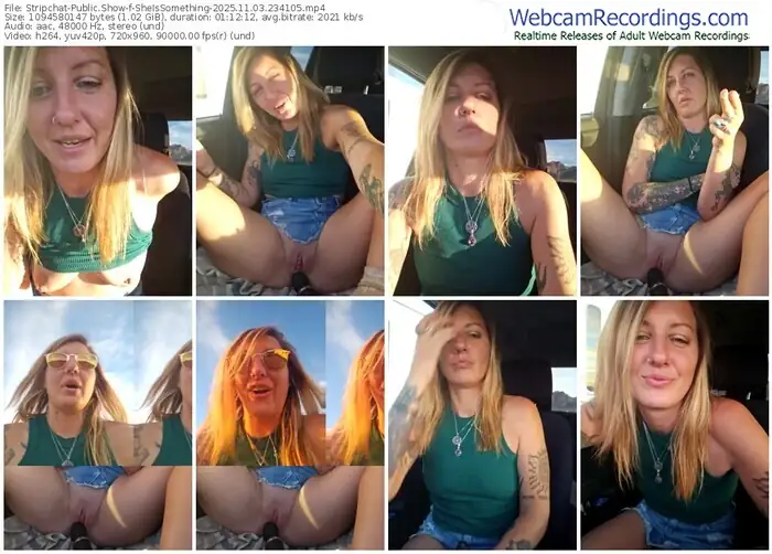 stripchat-sheissomething-11-03-2025-23-41-05