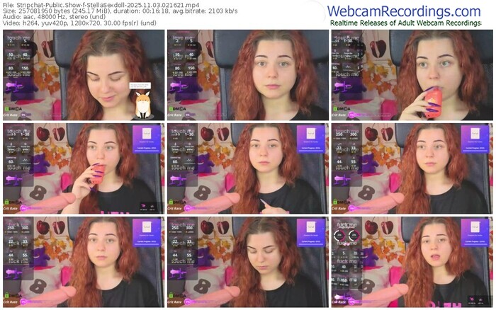 stripchat-stellasexdoll-11-03-2025-02-16-21